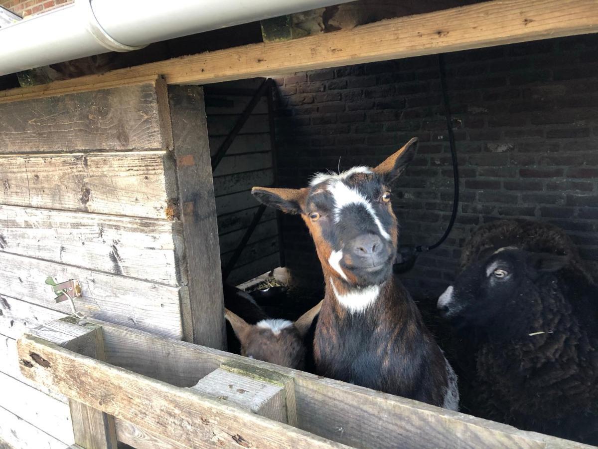 Hoeve De Binnenplaets Schimmert Exterior foto